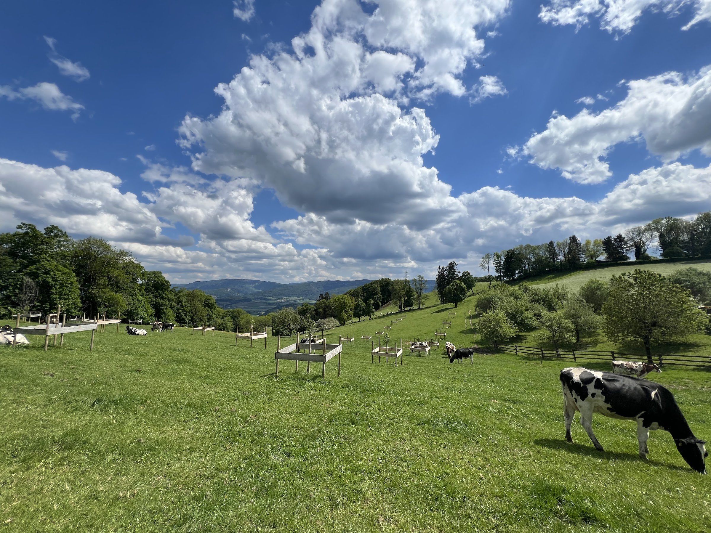 Restaurant La Claude-Chappuis